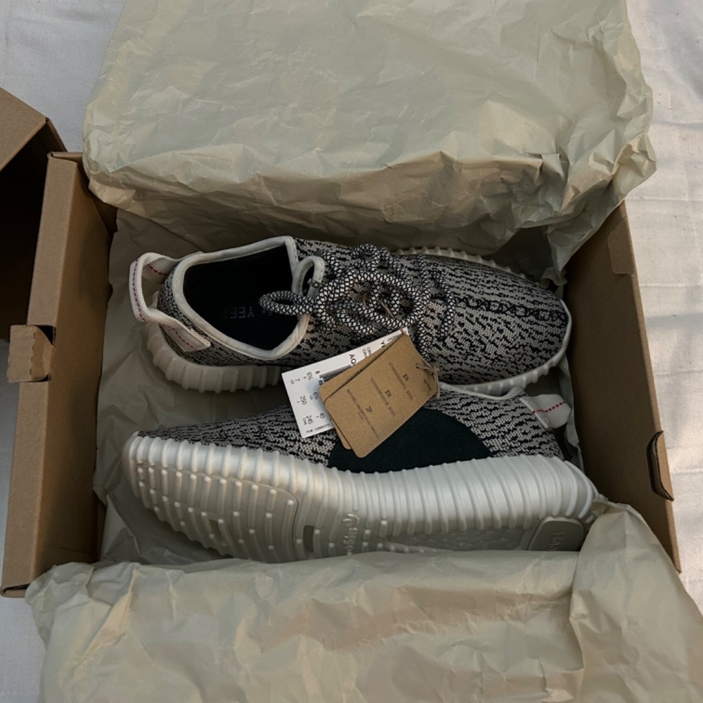 Yeezy Boost 350 Turtle - Picture 9 of 14